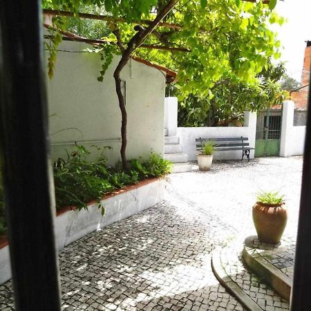 Casa Dos Pocinhos Ferias Tranquilas No Campo Torres Novas Bagian luar foto