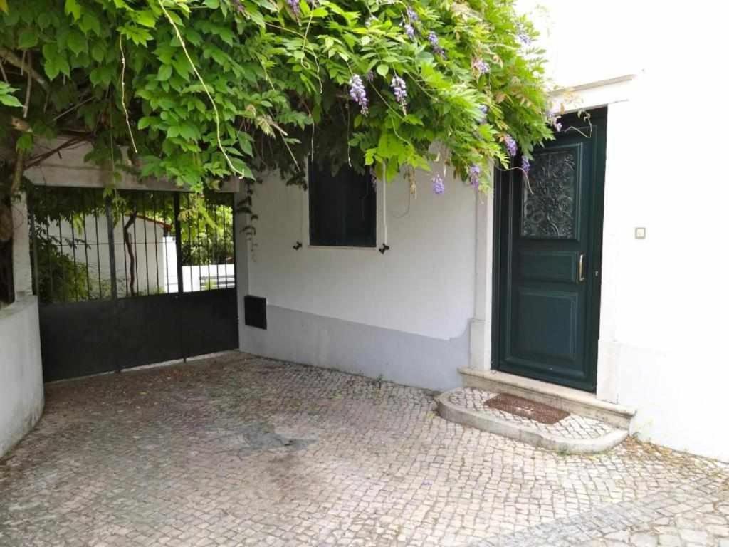 Casa Dos Pocinhos Ferias Tranquilas No Campo Torres Novas Bagian luar foto
